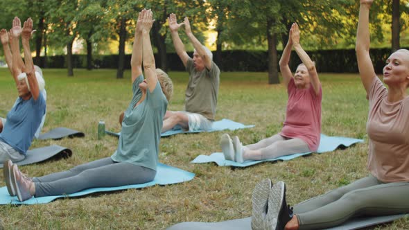 Elderly People Stretching in Park at Outdoor Yoga Class alt