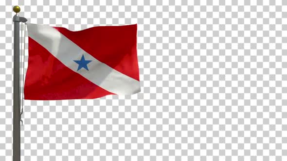 Para Flag (Brazil) on Flagpole with Alpha Channel - 4K alt