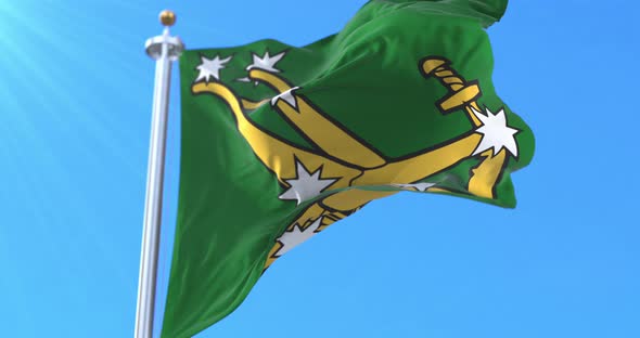 The original Starry Plough flag of the Irish Citizen Army alt