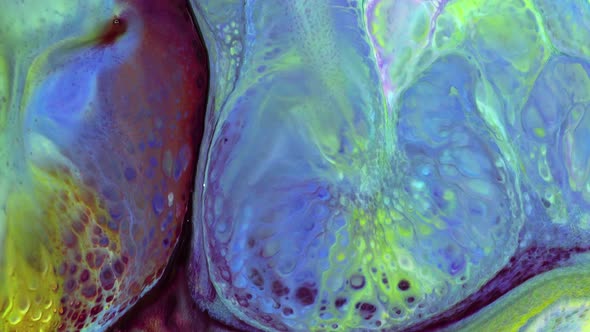 Abstract Colorful Invert Sacral Paint  Exploding Texture 632 alt