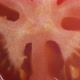 Sliced tomato rotating close up 