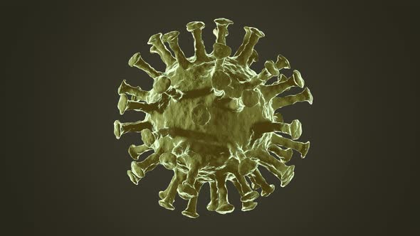 The virus Coronavirus (COVID-19) medical animation.