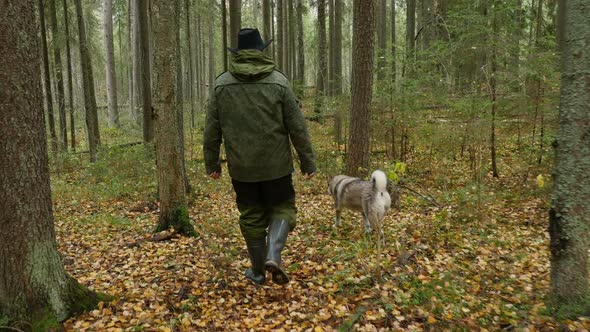 A Hiker Walks through Autumn Forest with Hunting Dog alt