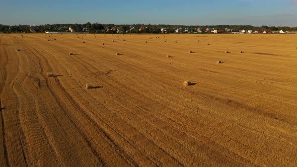 Many Bales on the Yellow Field. Single-storey Detached Houses in the Background. Flight Over the