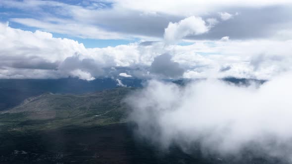 Mountain Fog Forest alt