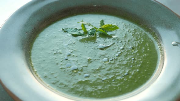 soup puree spinach from the chef of the restaurant or hotel