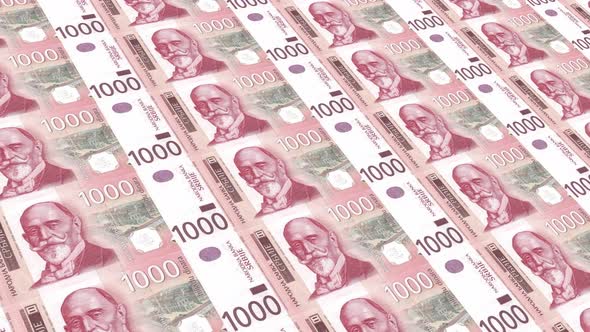 Serbia Money /1000 Serbian Dinar 4K alt