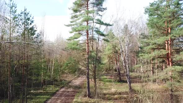 Nature Awakening In Spring 12 alt