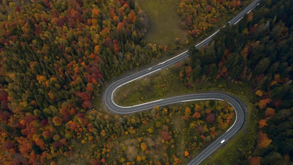 Aerial View Video Top View of Colorful Trees of Late Autumn Forest with Winding Country Road alt
