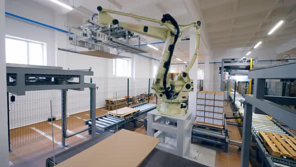 Carton Packaging Unit with a Massive Robotic Machine alt