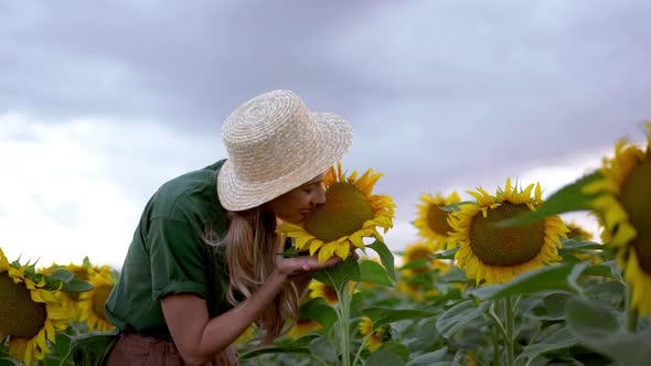 Woman agronomist standing agricultural sunflower field alt