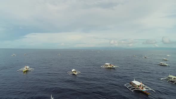 Aerial view of white traditional filipino boats near Panglao, Philippines. alt