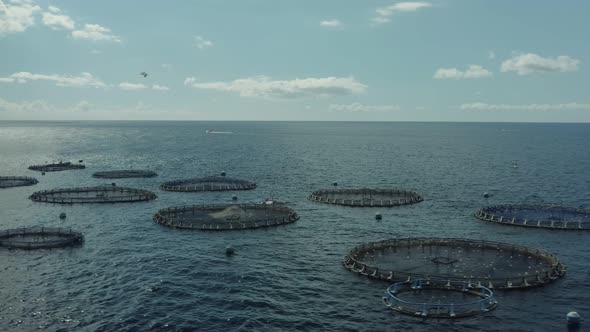 Aquaculture Cage Culture of Freshwater Fish alt