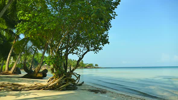 Beautiful tropical beach sea ocean with blue sky and white cloud alt