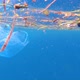 Marine Pollution of Plastic Bag - VideoHive Item for Sale