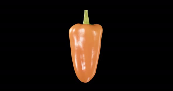 Red Pepper. Alpha Channel. Rotation