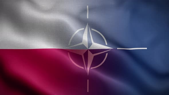 Nato Poland Flag Loop Background 4K