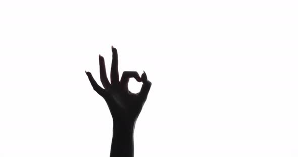 Hand Silhouette Ok Gesture Perfect Choice Approval alt