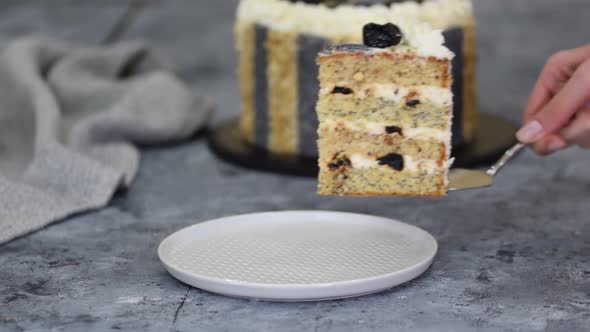 Piece of Delicious Cake with Prunes Nuts and Poppy Seeds