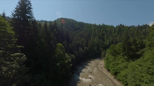 Stormy Mountain River Surrounded By Coniferous Forest alt
