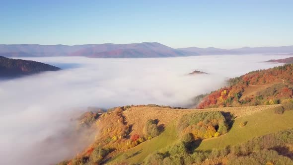 A Wonderful Feeling of a Moving Cloud on a Mountain After Rain alt