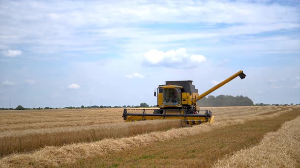 Combine harvester at work harvesting field of wheat alt