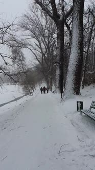 Vertical shot as walking in a snowy winter park. Silent and peaceful