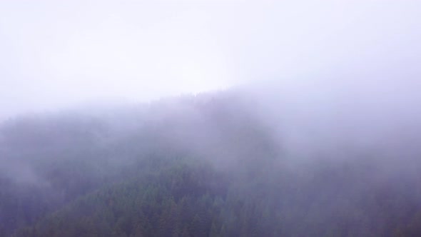 Mountain forest. Flying over pine forest in beautiful clouds. Misty forest. Fog in the mountains alt