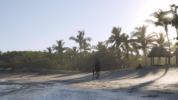 Fijian on a horse riding on paradise beach with bright sun shining through trees alt