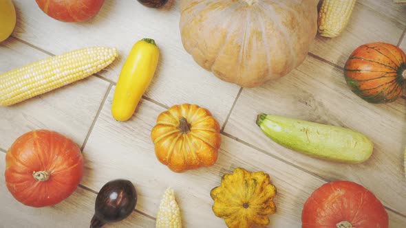 Pumpkins. Halloween or Thanksgiving celebration composition alt