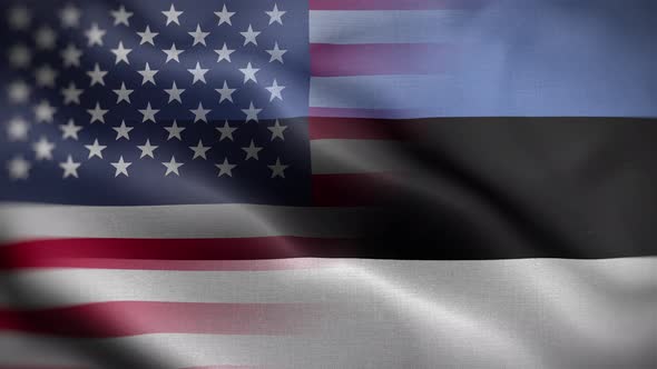 USA Estonia Flag Loop Background 4K