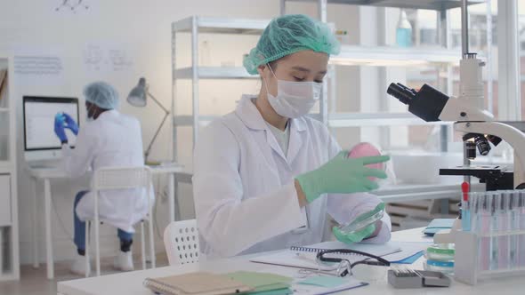 Asian Virus Researcher Analyzing Petri Dish alt