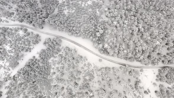 Flight Above Road in Winter Forest in Austria Top View