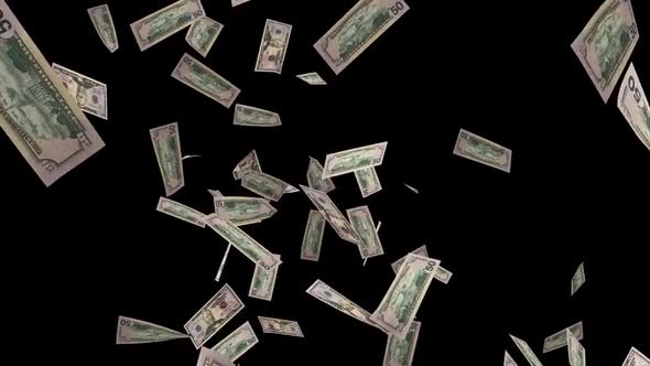 Flying 50 Dollars V2 alt