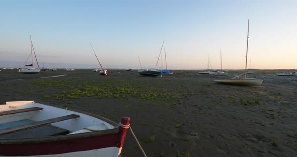 Ares, Gironde, Nouvelle Aquitaine, France. Salicornia growing during the low tide. alt