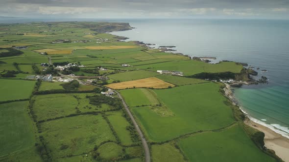 Irish Aerial Green Fields Landscape Shot: Road Along Meadows. Ireland Wide Plants and Farms alt