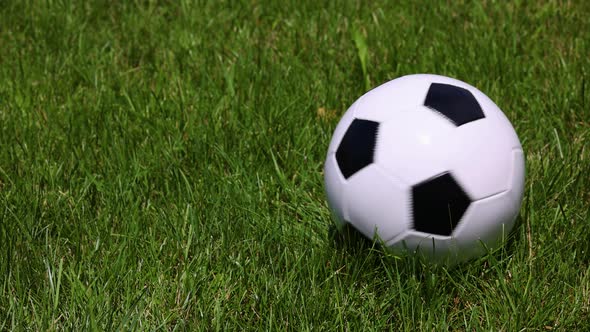 Football ball spinning on green grass field alt
