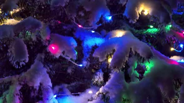 Panorama of the Snow-covered Christmas Tree with Festive Lights at Night 4k