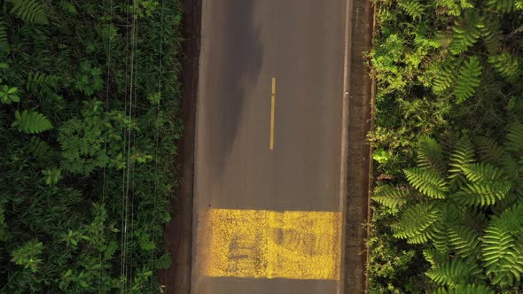 Top view asphalt, one lane road with yellow lines in a tropical country in South America alt