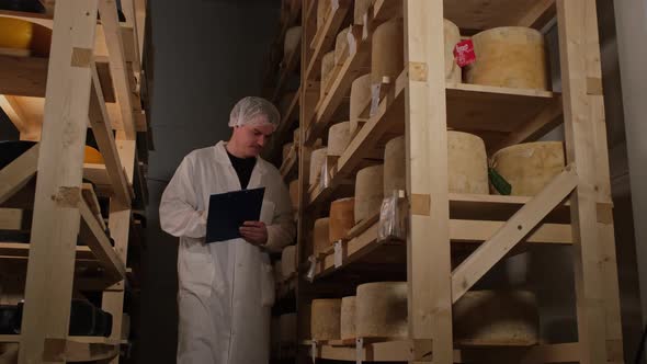 Handsome Cheesemaker Is Checking Cheeses Seasoning At Dairy Factory In  Uhd alt