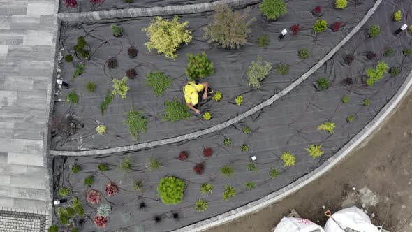 New Residential Garden Development alt