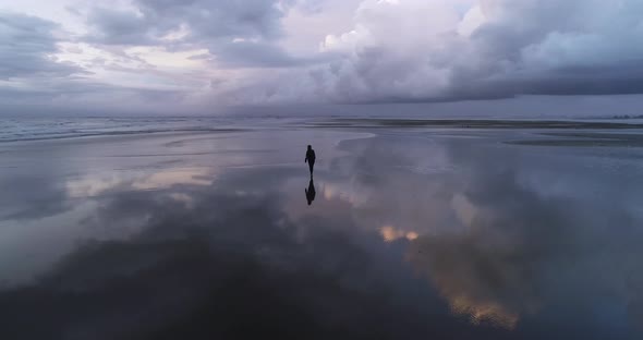 Aerial Shot of Excited Young Woman Walking on the Dream Beach and Playing Around