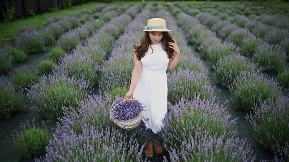 Confident and Smiling Young Caucasian Woman on Summer Dress on a Hat Holding a Basket of Lavender