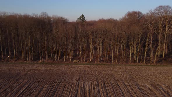 Flying with a drone from a plumed field to a bare forest