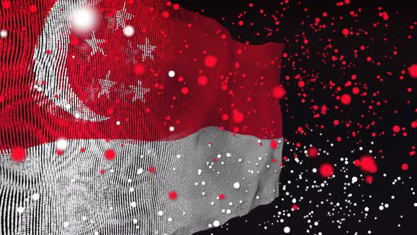 Singapore Flag Particle Animation alt