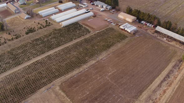 Aerial Drone Shot of Large  Christmas Tree Farm and Other Farms During Winter