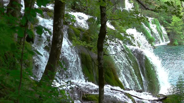 Forest River with lots of Waterfalls alt