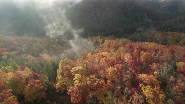 Rotating drone shot of fall mountain colors in the Great Smokey Mountains North Carolina alt