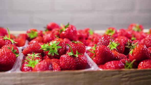 Strawberries in a Box Closeup Red Juicy Ripe Delicious Summer Berries alt