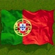 Portugal Flag - VideoHive Item for Sale